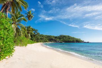 Exotic sandy beach.