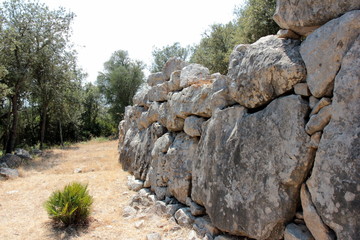 Talaiotkultur Arta
