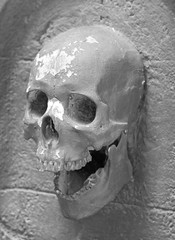 black and white Human skulls embedded in the wall