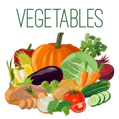 Vegetables. Vector illustration