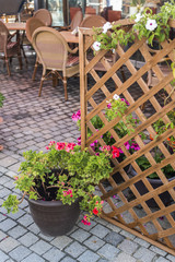 lattice fence at the outdoor area cafe with a flowerpot,