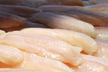 Dolly fish fillet into thin slices and place in a supermarket.