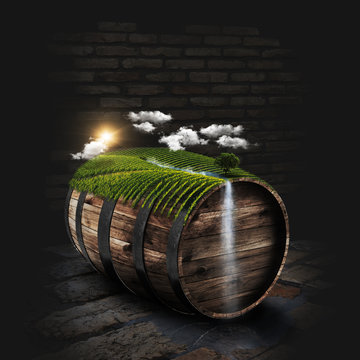 Sunny vineyard on the wine barrel in dark cellar