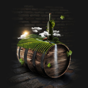 Sunny vineyard on the wine barrel in dark cellar