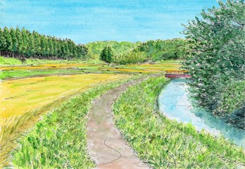 Obraz premium 秋晴れ