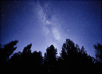 Night sky with the Milky Way over the forest and trees. The last light of the setting Sun on the...