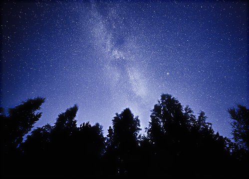 Night sky with the Milky Way over the forest and trees. The last light of the setting Sun on the bottom of the image