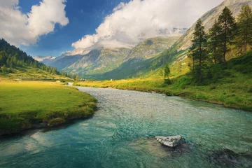 Fototapeten Chiese river and in the National Park of Adamello Brenta from the Val di Fumo. Trentino Alto Adige, Italy © Jagoush