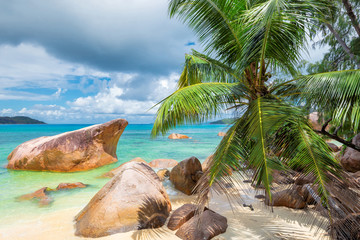 Fototapeta na wymiar The palms and rocks on exotic sandy beach.