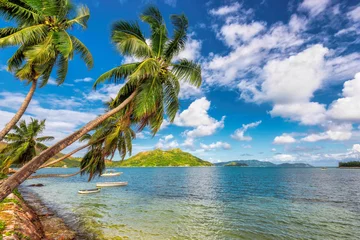 Deurstickers Kokospalmen op tropisch eiland. © lucky-photo