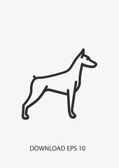 Doberman dog icon, Vector