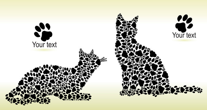 Silhouettes of cats from the cat tracks
