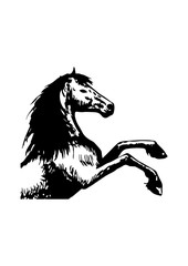 Horse sketch icon, Vector