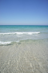 Fototapeta na wymiar The sandy beach of the black sea in the Crimea