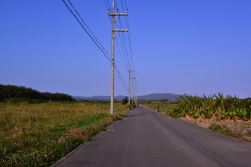 Fototapeta na wymiar 小浜島　　　　　　