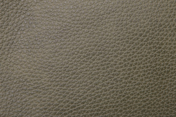Green leather texture closeup