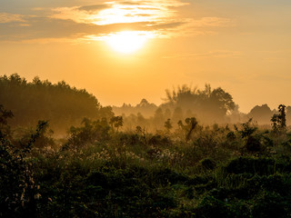 Gold light of sunrise at the countryside