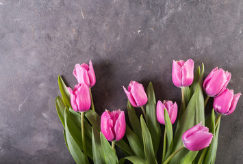 Pink tulips on gray abstract background. Pink tulip. Tulips. Flowers. Flower background. Flowers photo concept. Holidays photo concept. Copyspace
