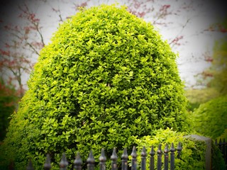 Frühlingsgrün und Design im Schlossgarten