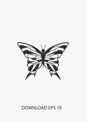 Butterfly icon, Vector