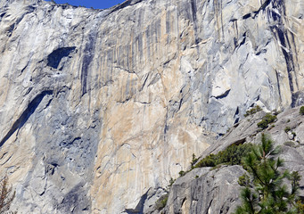 Fototapeta na wymiar The granite monolith El Capitan, popular with rock climbers, Yosemite National Park, California