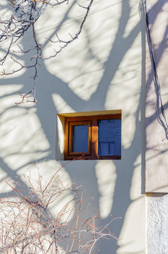 Shadow of a tree on the white wall with old windows - Bansco, Bulgaria