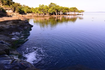 Obraz premium 西表島