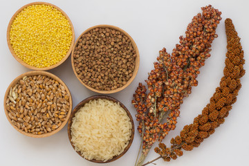 Twig red millet and sorghum, grain buckwheat, millet, rice, wheat in boxes on  white background