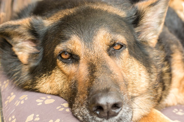 Einfach mal eine Auszeit machen