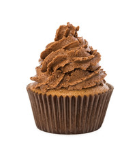 Delicious chocolate cupcake