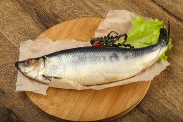 Herring fish
