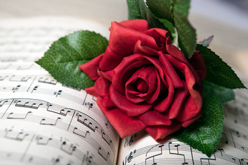 rose flower lies on the music book
