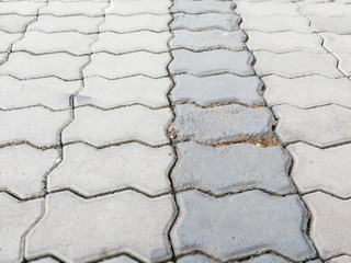 Obraz premium Bricklaying worm., Rock wall, close up.Texture background. Great details.