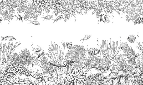 Coral Reef and Swimming Fishes Pattern