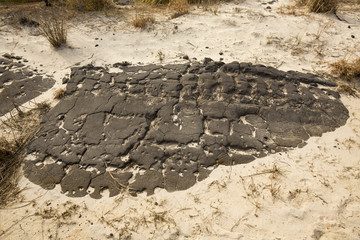 Crumbling ruins of Baltimore Boulevard on Assateague Island, Maryland.