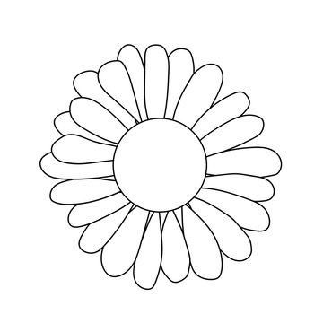 Chamomile. Flower isolated on white background. Hand drawn flower. Flower outlines in sketch style isolated on white background. Black ink flower illustration for coloring books. Illustration