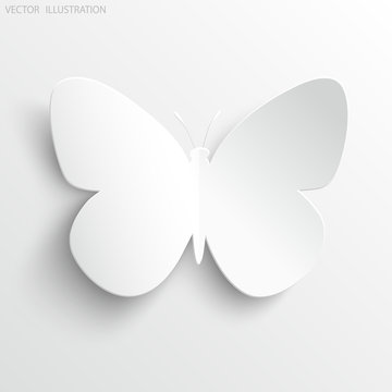 Beautiful paper butterfly on white background.