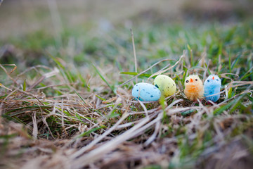Easter eggs decoration. 