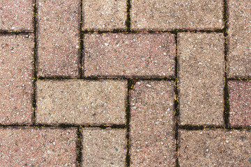 Brick pathway