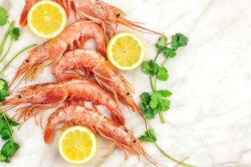 Raw shrimps with slices of lemon, cilantro, and copyspace