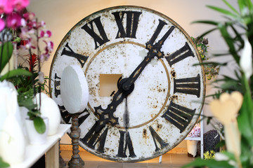 Ogromny zabytkowy zegar w kwiaciarni. - obrazy, fototapety, plakaty
