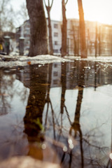 Spring park. Reflections in the puddles