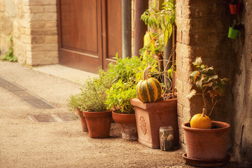 Empty street of small Tuscany town San Quirico d'Orcia in the morning fog with halloween pumpkin decorations. Romantic travel vintage hipster european italy background