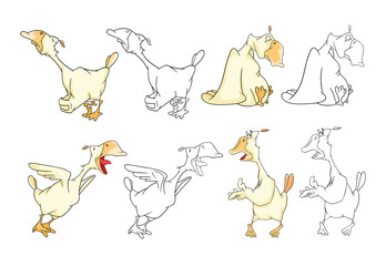 
Set Cartoon Illustration. A Domestic Geese. Cartoon Character. Coloring Book 