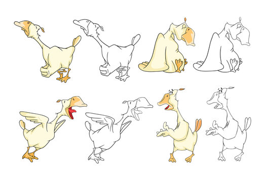 
Set Cartoon Illustration. A Domestic Geese. Cartoon Character. Coloring Book 