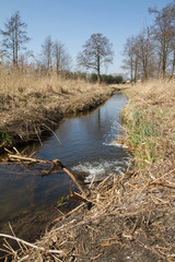 River Krzywula, Eastern Poland