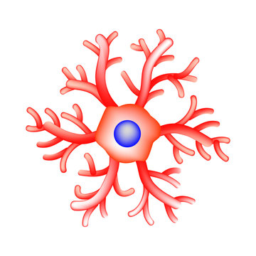 The Structure Of Microglia. Neuron. Nerve Cell. Infographics. Vector Illustration On Isolated Background.