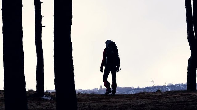 The traveler silhouette. female with backpack hiking in forest. HD.