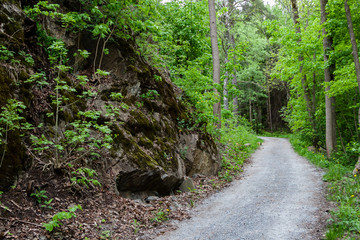 norway sea shore landscape view