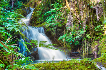 Beautiful waterfall